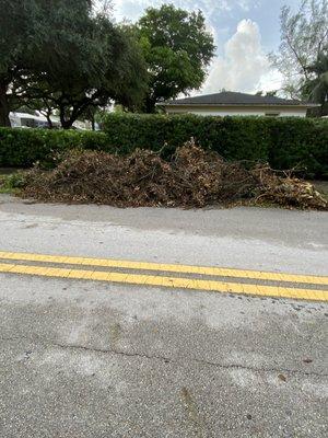 Over excess yard debris