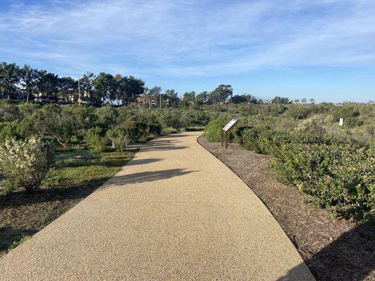 Wide sidewalks for walking, strollers, bikes, etc.