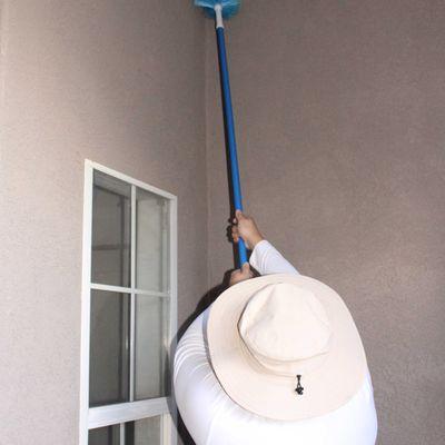 Pest control cobwebs removal in Rio Rancho, New Mexico.