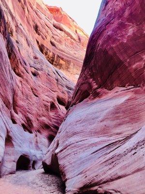 Parked the kayak at the end of water way and walked about a half mile to enjoy the dry area of canyon