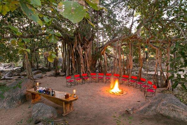 India Wildlife Safari Camp