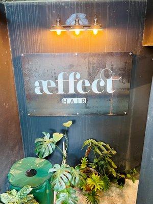 Aeffect Entrance