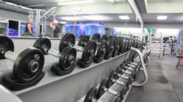 Free weights section