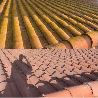 Roof Tile Cleaning