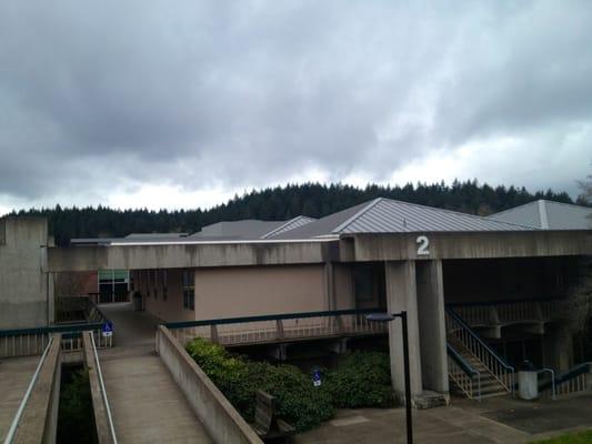 Treeline above the buildings