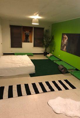 Citizen Canine Bed & Breakfast for Dogs