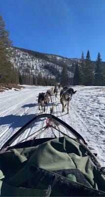 On the trail!