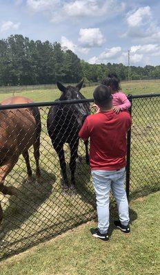 Carefully Petting animals