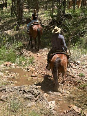 Cross the Indian Springs as you ride through the cool forest.  Horseback Riding is easy and fun.