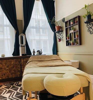 A well appointed massage studio with live plants and a succulent wall, warm earth tones, a comfy massage table and big bright windows..