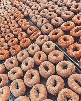 Hot Apple Donuts!