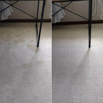 Before & After Carpet Cleaning