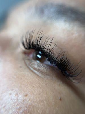 The Art of Lashes