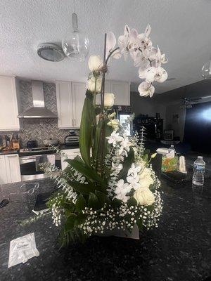 Orchid with Dozen White Roses