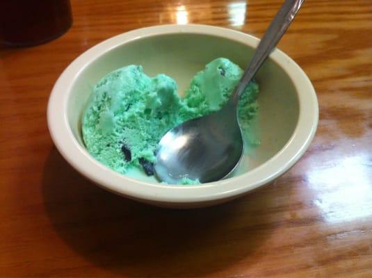 Mint chocolate chip ice cream