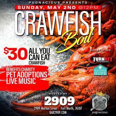 MAY 2ND | CRAWFISH | LIVE MUSIC | PET ADOPTION $30 All You Can Eat Crawfish! PURCHASE TICKETS:  turnkeyevents.ticketleap.com/mudbugs