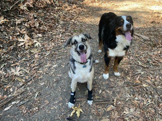 Riley & Monte enjoying a beautiful day on the trail