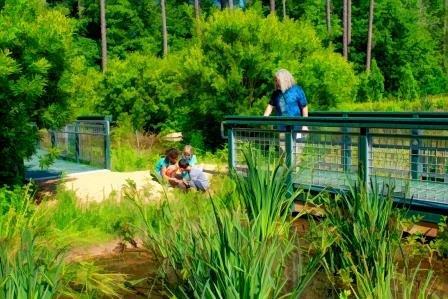 Wetlands area for science projects