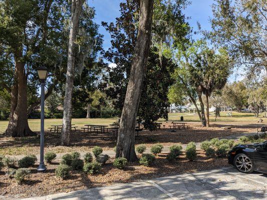 Quinn Strong Park, Maitland