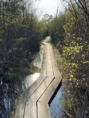 Boardwalk