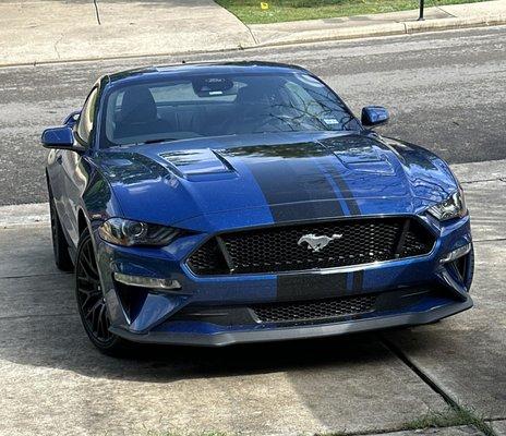 Mustang GT