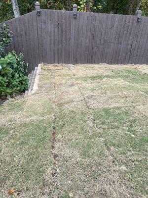 Dead lawn installed. Sprinklers do not reach many areas due to poor planning of sprinkler heads.