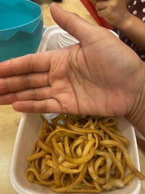 That's all the noodle she gave me . And I have small hands.