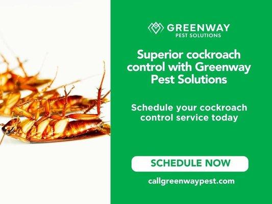 07_Greenway Pest Solutions_Cockroaches are more than just a nuisance, they can be a health hazard.jpg