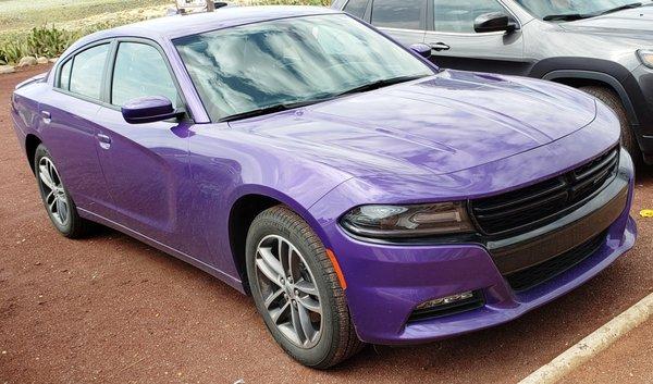 Plum Crazy Charger