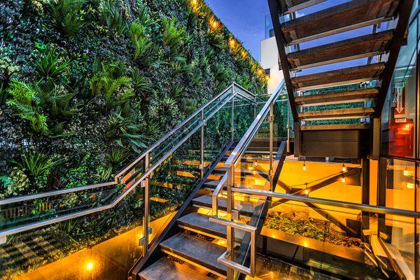 Brand new staircase with botanical wall leading up to hotel rooftop.