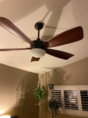 Fan