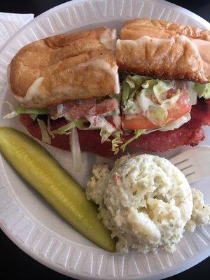 Hot Sub w/ Potato Salad