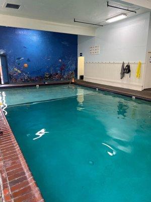 Anderson's Swim School