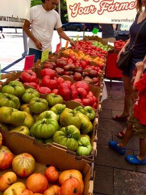 Tomato selection  Union Station farmers market