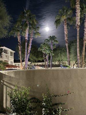 Lovely full moon night on my patio