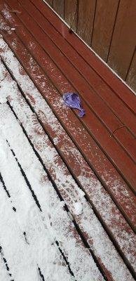 Dog poop on the deck