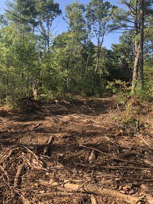 Land clearing