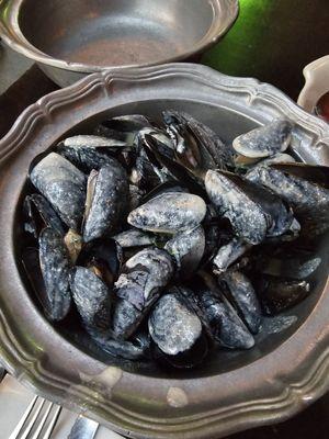 Mussels