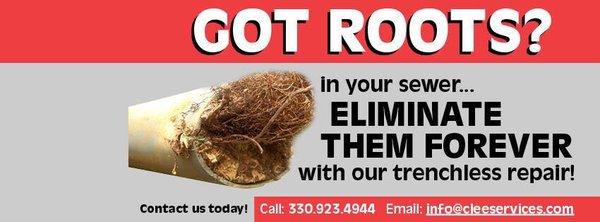 Got Roots? We have the permanent solution.