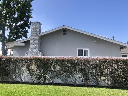 Before. Stucco and brick same dull color!