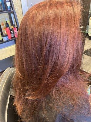 Allover Red root touch up and refresh