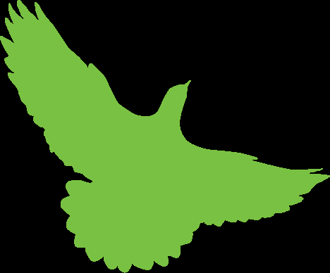 GreenBird