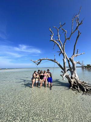 Rope Swing at the Sandbar