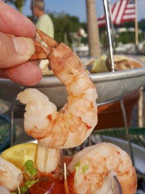 huge shrimp