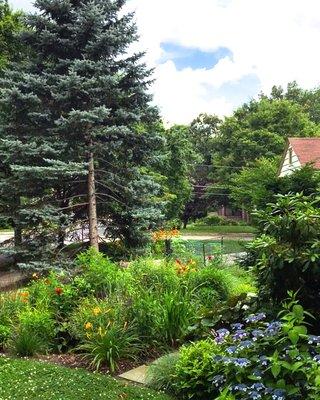 A front yard habitat rain garden that takes in rain that falls on the roof of the home, holds it temporarily, and then soaks into the ground