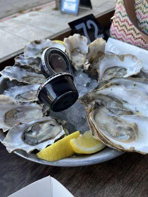 Oysters!