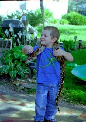 Confident Boa Constrictor handler