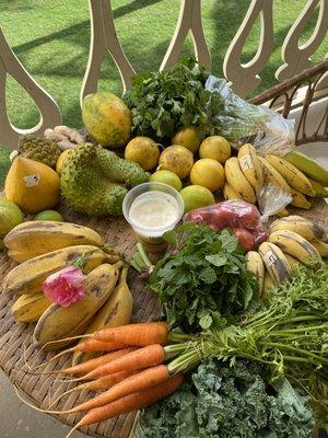 From Kapaa Farmers Market