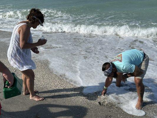 looking for shark teeth