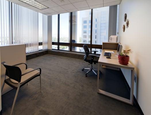 Office Suite